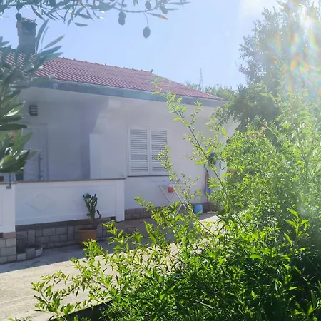 House Solis * Ραμπ