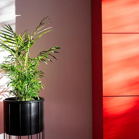 House Solis Rab Town