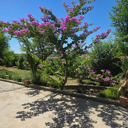 House Solis Vakantiehuis Rab Town