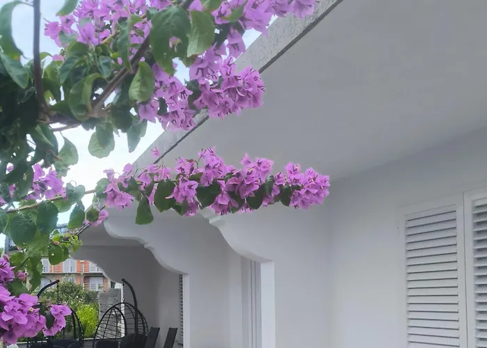 Holiday home House Solis *