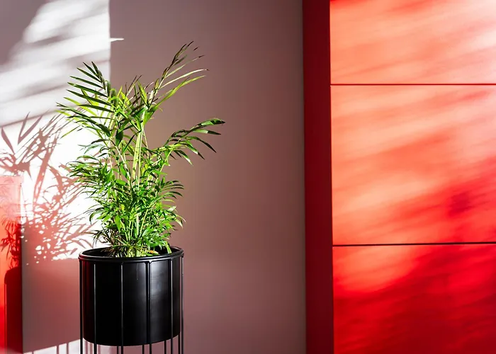 House Solis Rab Town